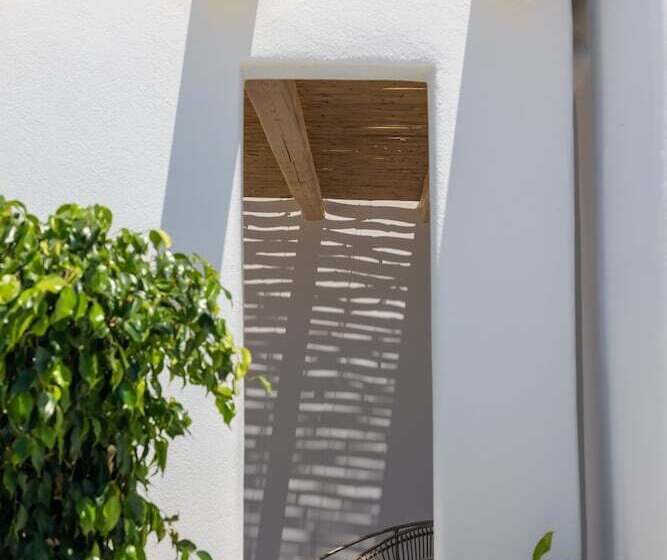 酒店 Adama Mykonos Boutique