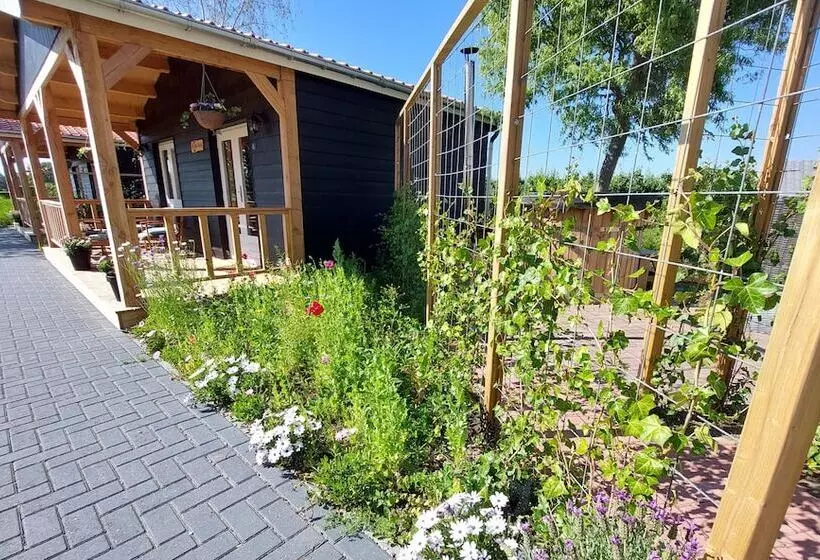 Aamiaismajoitus (B&B) Het Baken Van Tholen