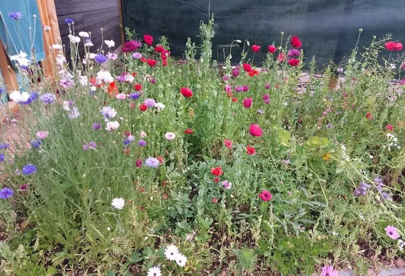 Aamiaismajoitus (B&B) Het Baken Van Tholen