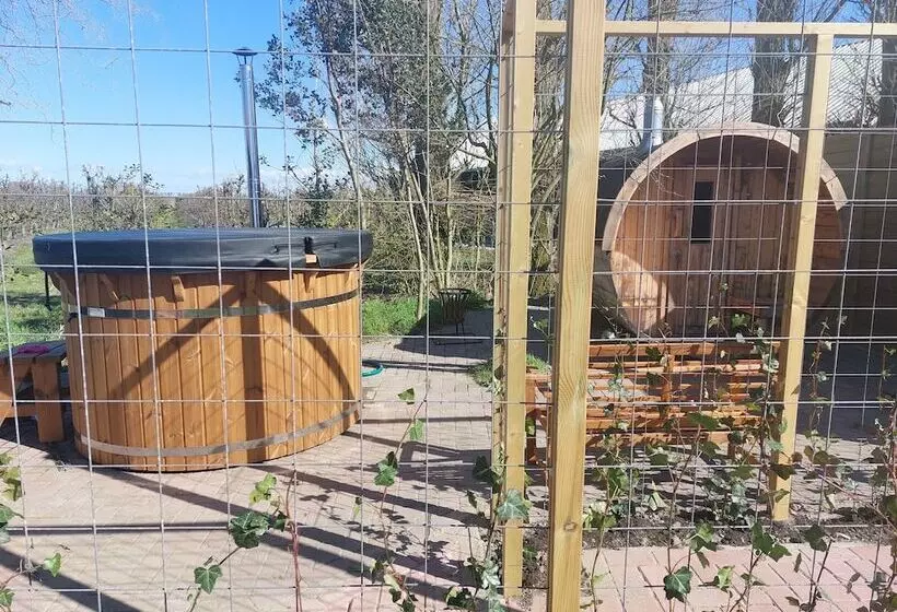 Aamiaismajoitus (B&B) Het Baken Van Tholen