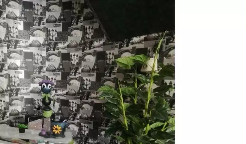 Appart Hôtel Tanger Paname