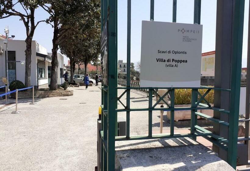 پانسیون Domvs 84