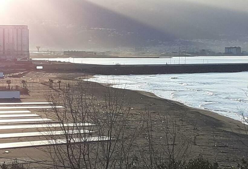 پانسیون Domvs 84