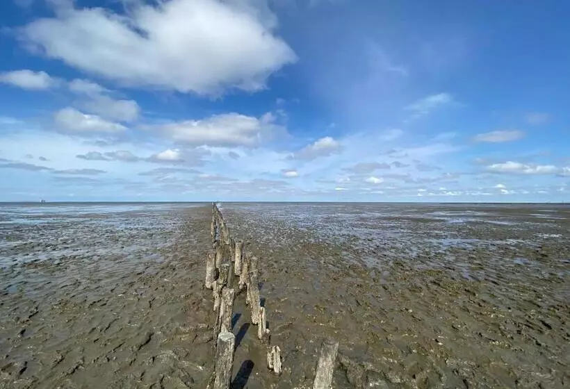 Majatalo Großes Doppelzimmer Mit Eigenem Bad Und Kühlschrank, Frisch Saniert