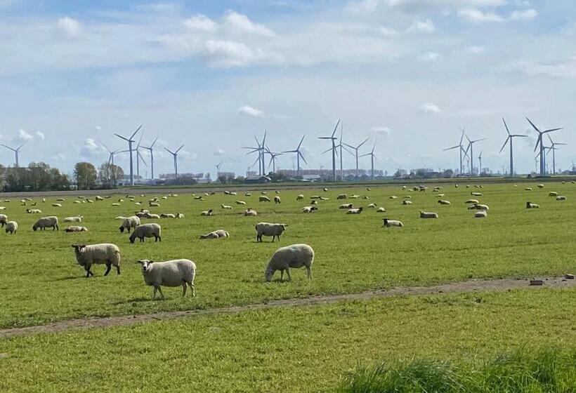 Пансион Großes Doppelzimmer Mit Eigenem Bad Und Kühlschrank, Frisch Saniert