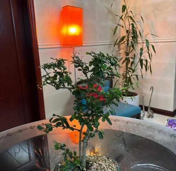 تختخواب و صبحانه Happy Ours Guesthouse