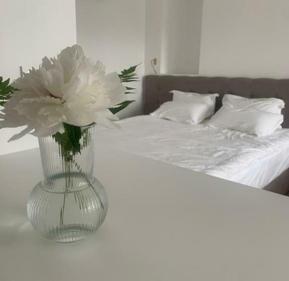 민박 La Rose Du Cèdre