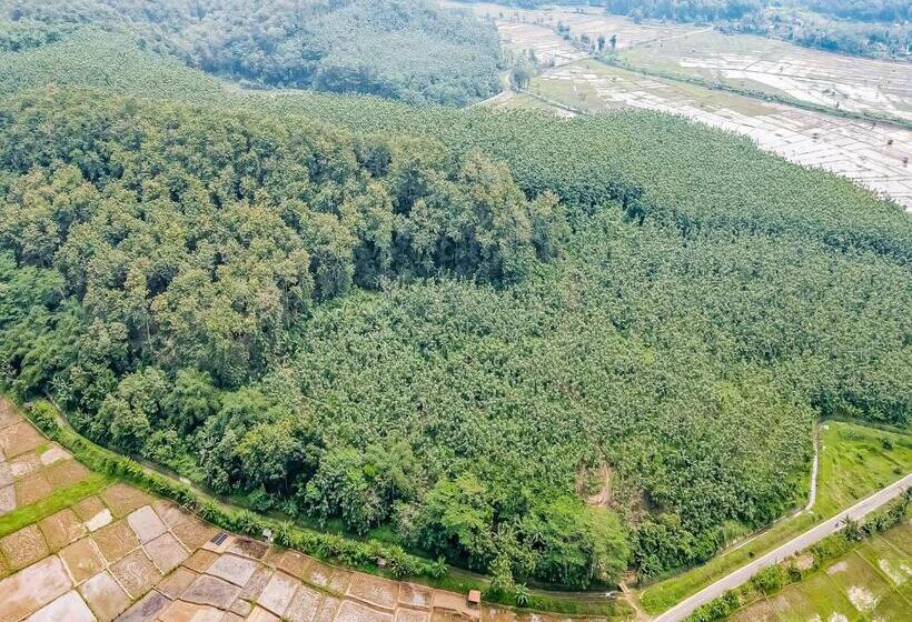 בית מלון כפרי Oyo Homes 91114 Desa Wisata Bangunharja