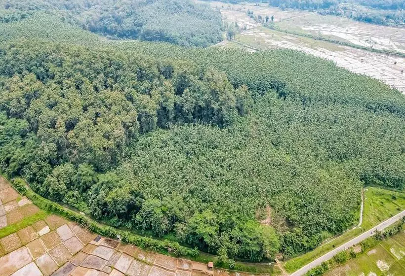 Hotelli Oyo Homes 91114 Desa Wisata Bangunharja