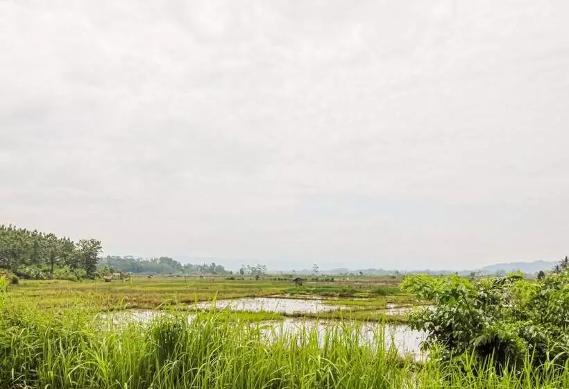 Hotelli Oyo Homes 91114 Desa Wisata Bangunharja