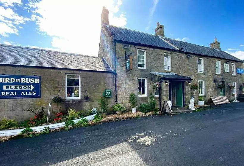 ユースホステル Bird In Bush Elsdon