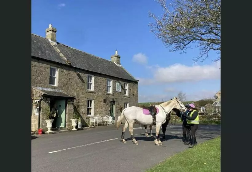 ユースホステル Bird In Bush Elsdon