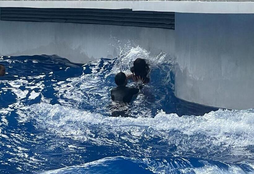 Azure Urban Residences