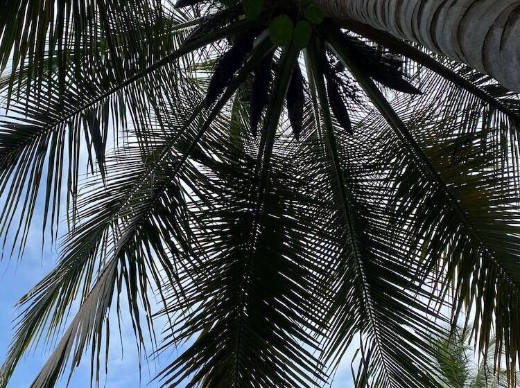 هتل Ecohabs Tequendama   Parque Tayrona