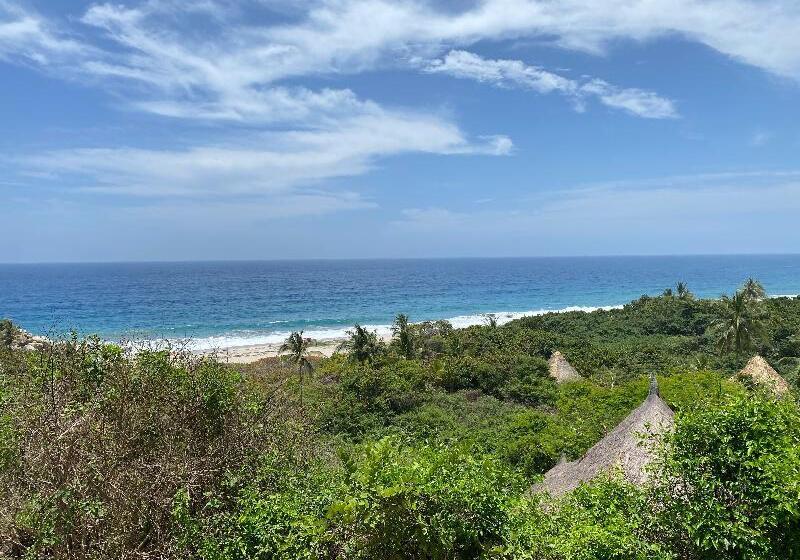 هتل Ecohabs Tequendama   Parque Tayrona