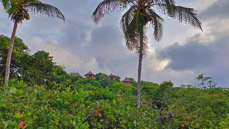 هتل Ecohabs Tequendama   Parque Tayrona