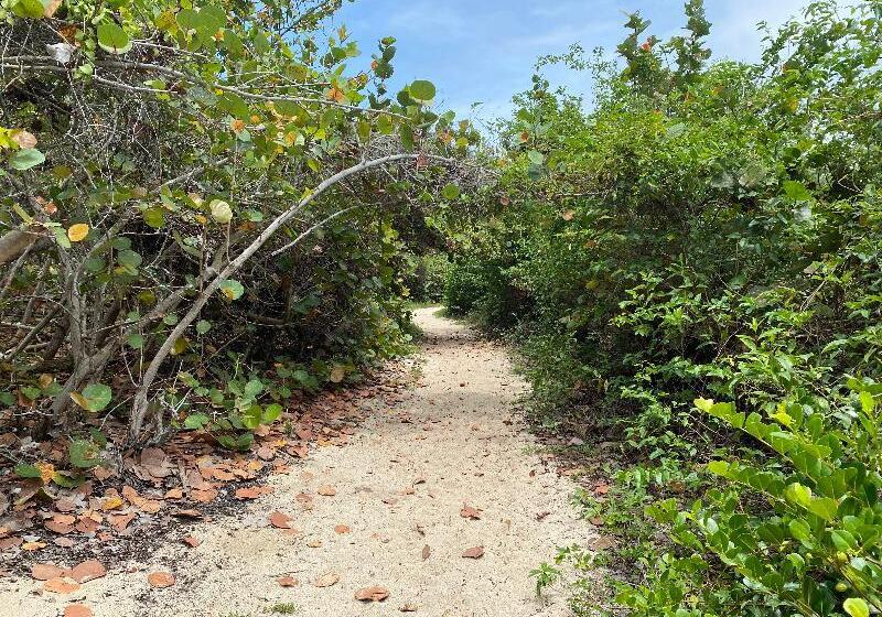 هتل Ecohabs Tequendama   Parque Tayrona