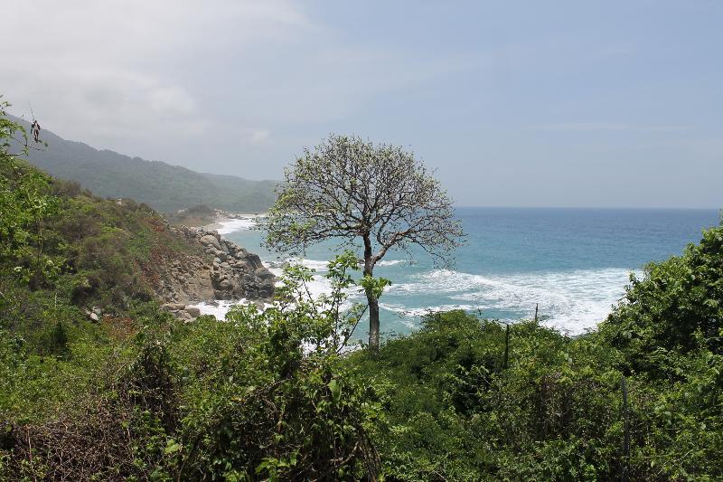 هتل Ecohabs Tequendama   Parque Tayrona