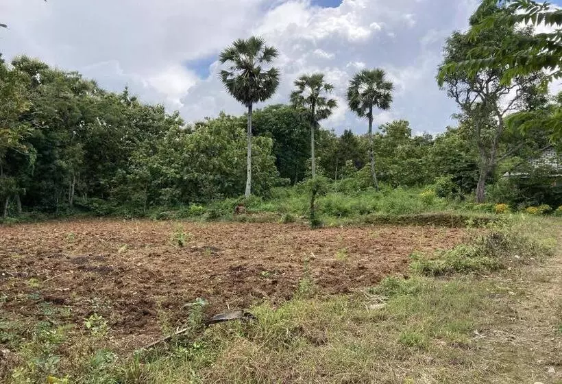 Hotelli Oyo Homes 91136 Desa Wisata Dalegan