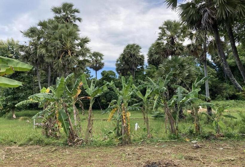 호텔 Oyo Homes 91136 Desa Wisata Dalegan