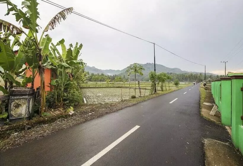 ホテル Oyo Homes 91153 Desa Wisata Kawasen