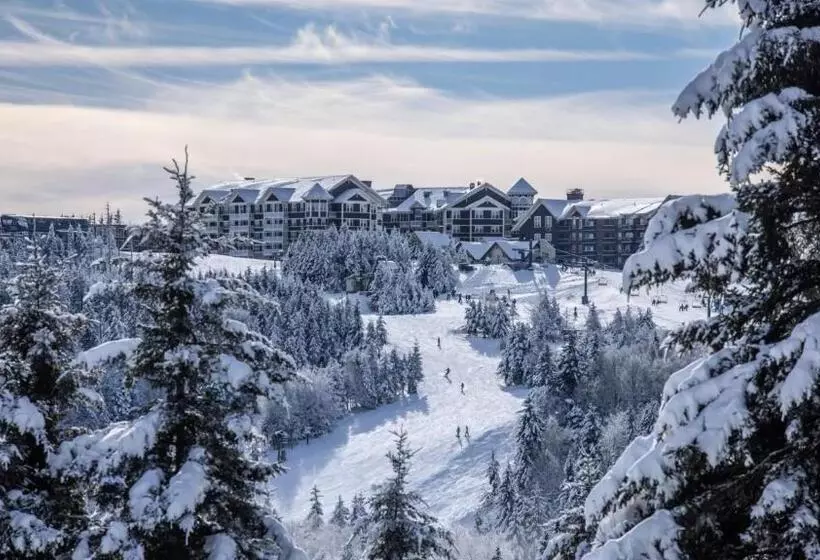 Snowshoe Ski In & Ski Out At Silvercreek Resort   Family Friendly, Jacuzzi, Hot Tub, Mountain Views