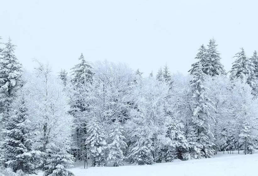 Snowshoe Ski In & Ski Out At Silvercreek Resort   Family Friendly, Jacuzzi, Hot Tub, Mountain Views