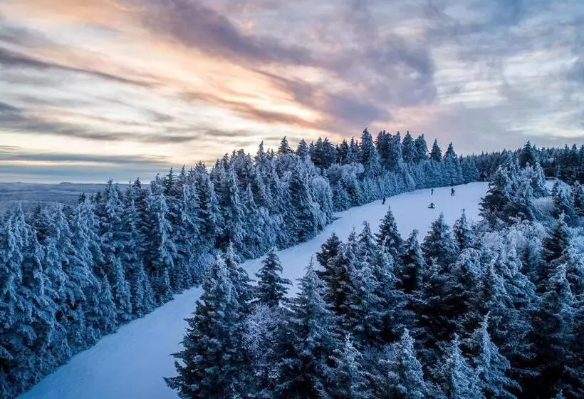 Snowshoe Ski In & Ski Out At Silvercreek Resort   Family Friendly, Jacuzzi, Hot Tub, Mountain Views