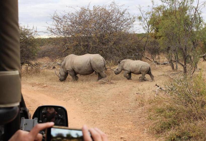 ベッドアンドブレックファースト Tamboti Bush Lodge