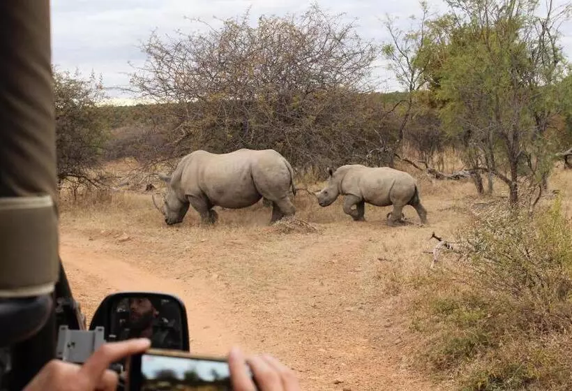Aamiaismajoitus (B&B) Tamboti Bush Lodge