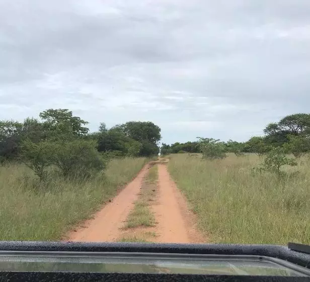 Aamiaismajoitus (B&B) Tamboti Bush Lodge