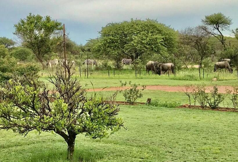 ベッドアンドブレックファースト Tamboti Bush Lodge