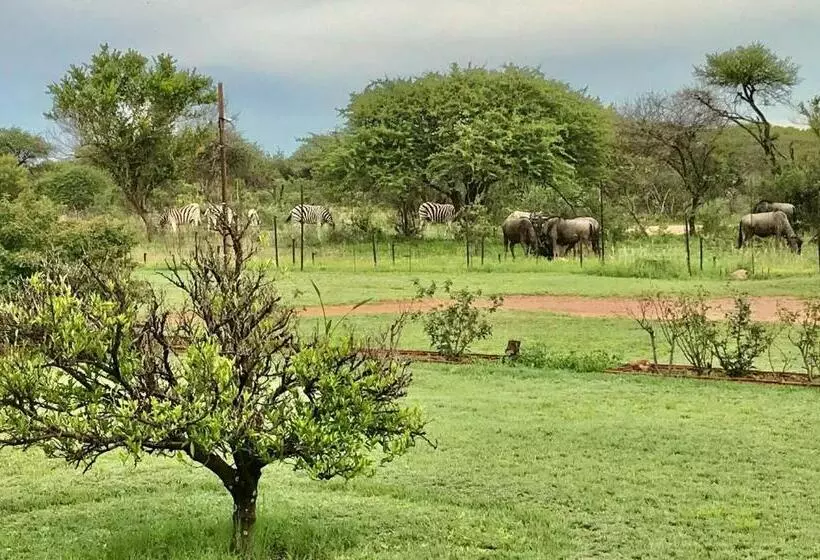 Aamiaismajoitus (B&B) Tamboti Bush Lodge