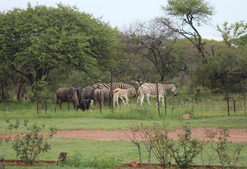 ベッドアンドブレックファースト Tamboti Bush Lodge