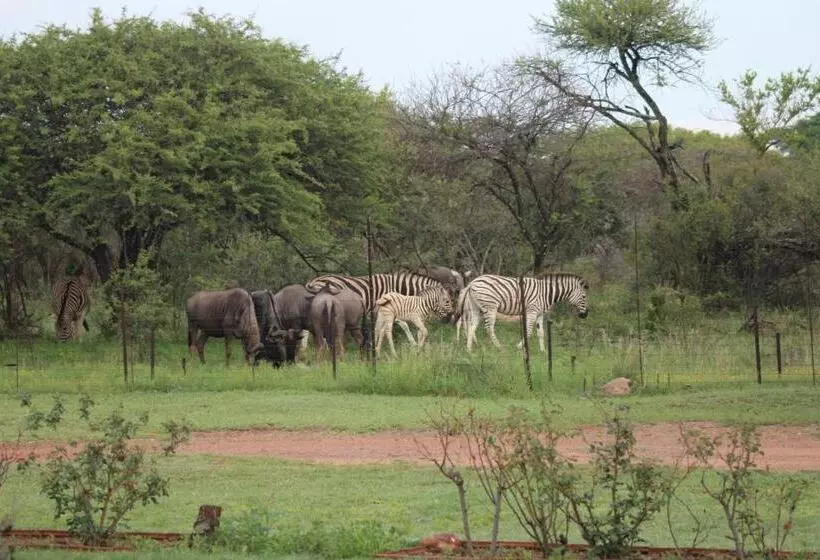 Aamiaismajoitus (B&B) Tamboti Bush Lodge