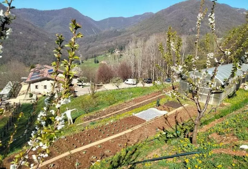 ホテル Agriturismo Ca  Fenile