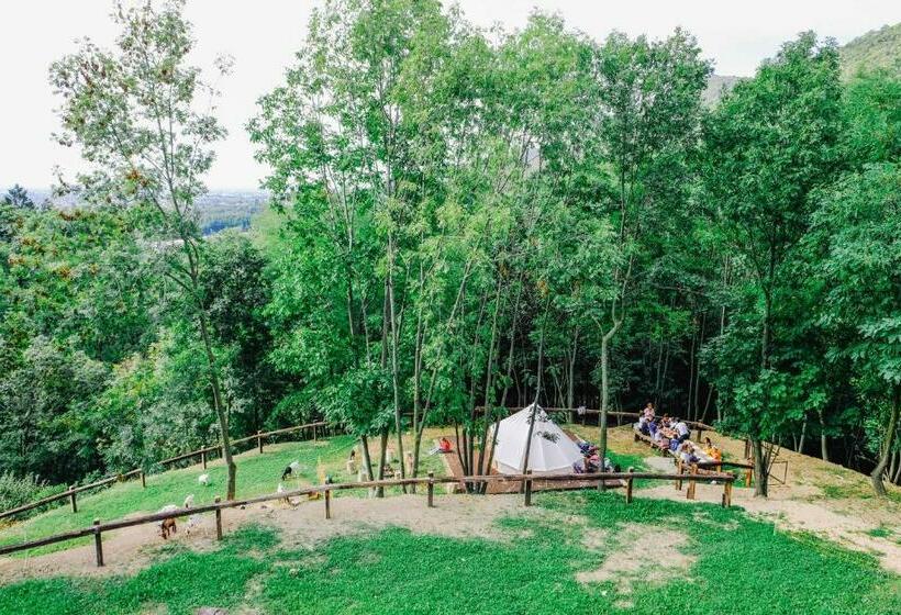 酒店 Agriturismo Ca  Fenile