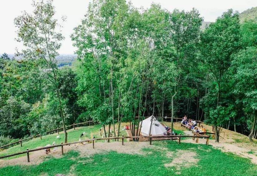 ホテル Agriturismo Ca  Fenile