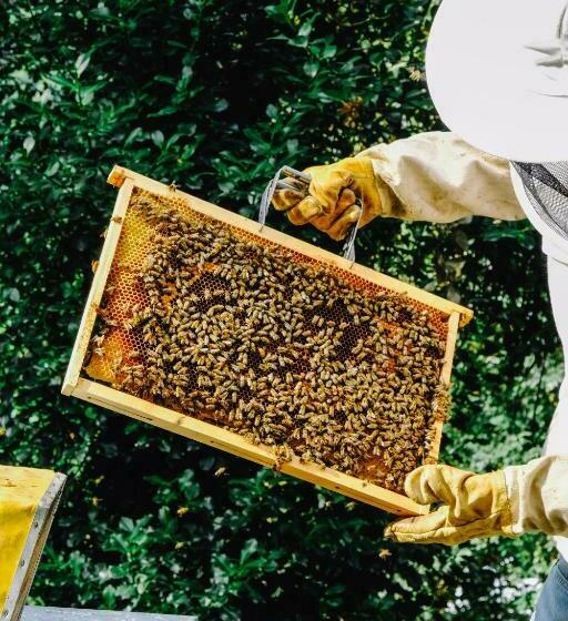 酒店 Agriturismo Ca  Fenile