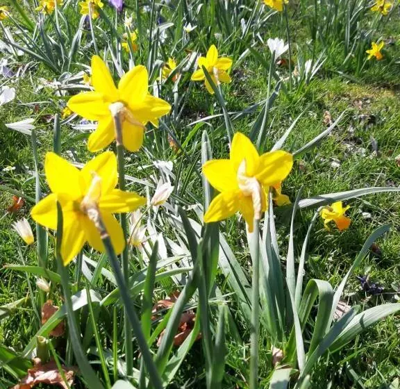 Bed and Breakfast Bb De Hinker