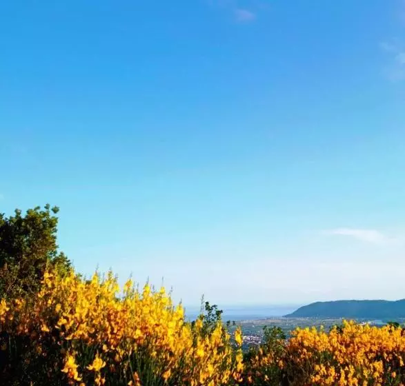 La Ginestra B&b