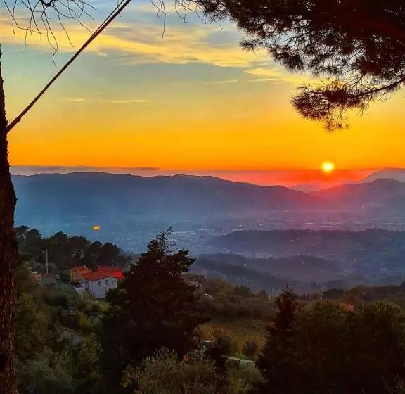 La Ginestra B&b