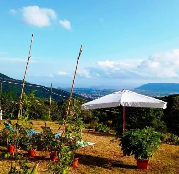 La Ginestra B&b