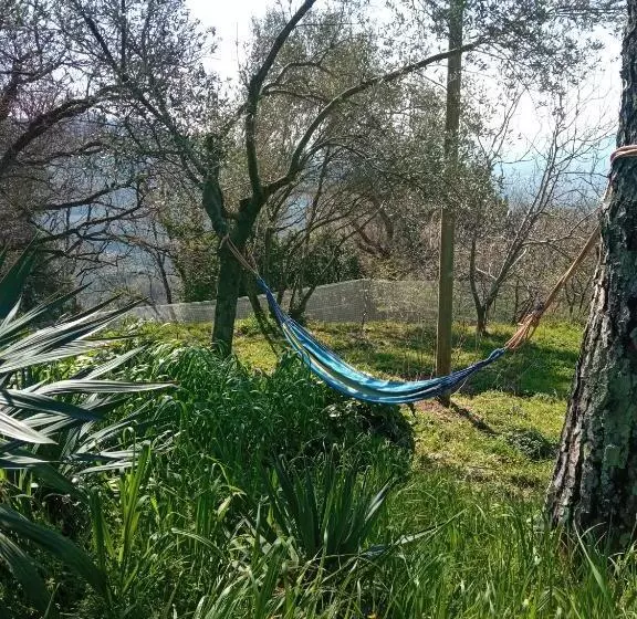 La Ginestra B&b