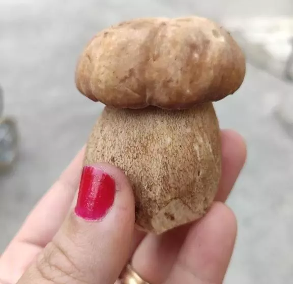 Majatalo Affittacamere Arco Antico