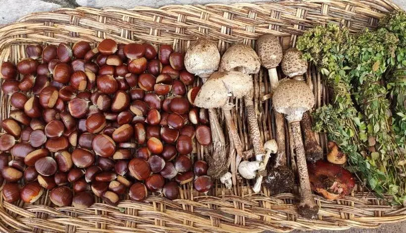 Majatalo Affittacamere Arco Antico