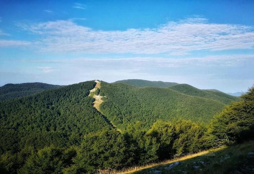 Pensjonat Affittacamere Arco Antico