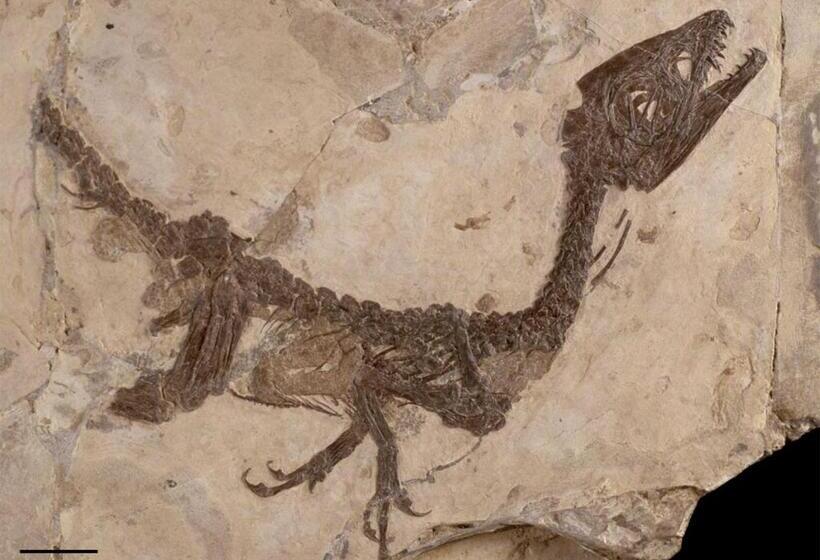 Pensjonat Affittacamere Arco Antico