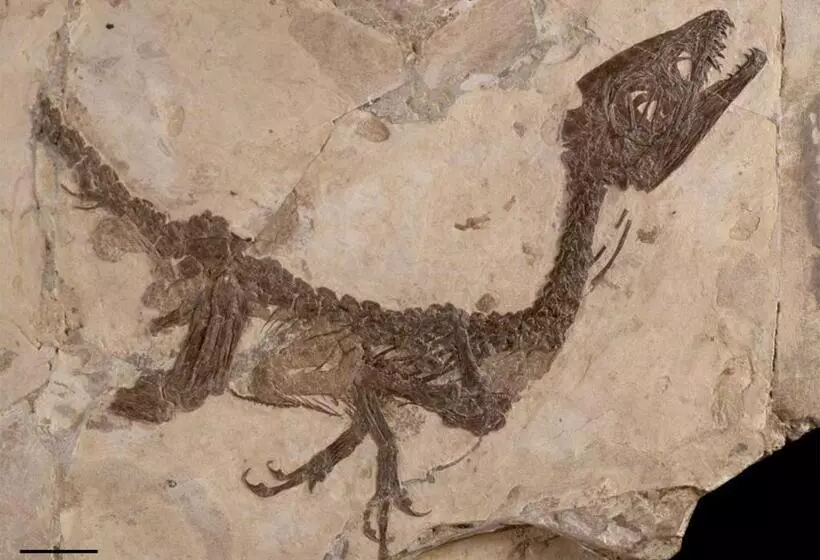 Majatalo Affittacamere Arco Antico