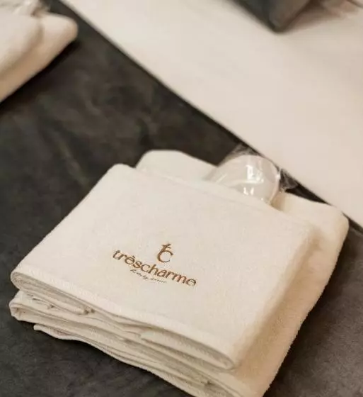 Aamiaismajoitus (B&B) Trèscharme